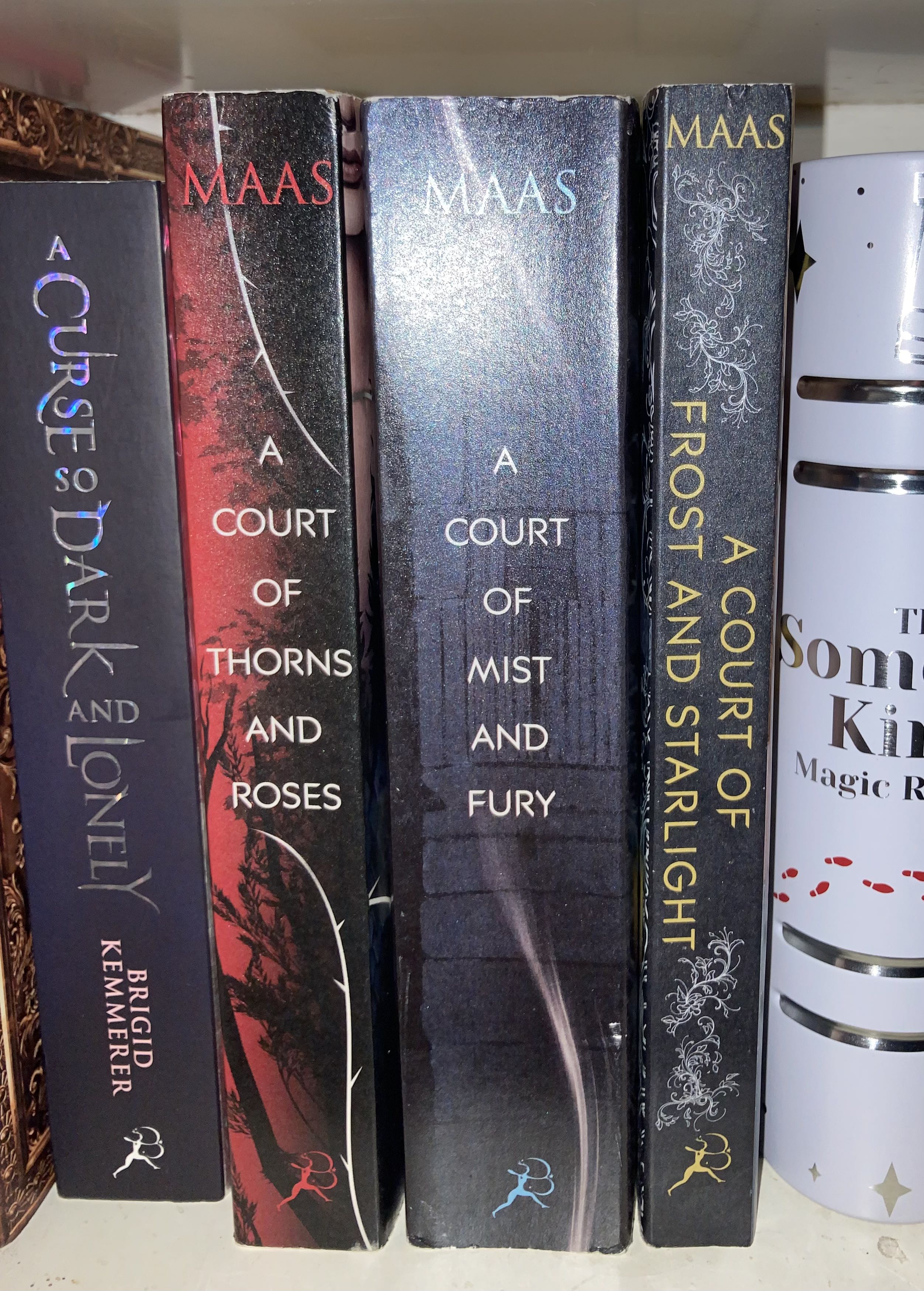 ACOTAR SERIES, Hobbies & Toys, Books & Magazines, Storybooks on Carousell