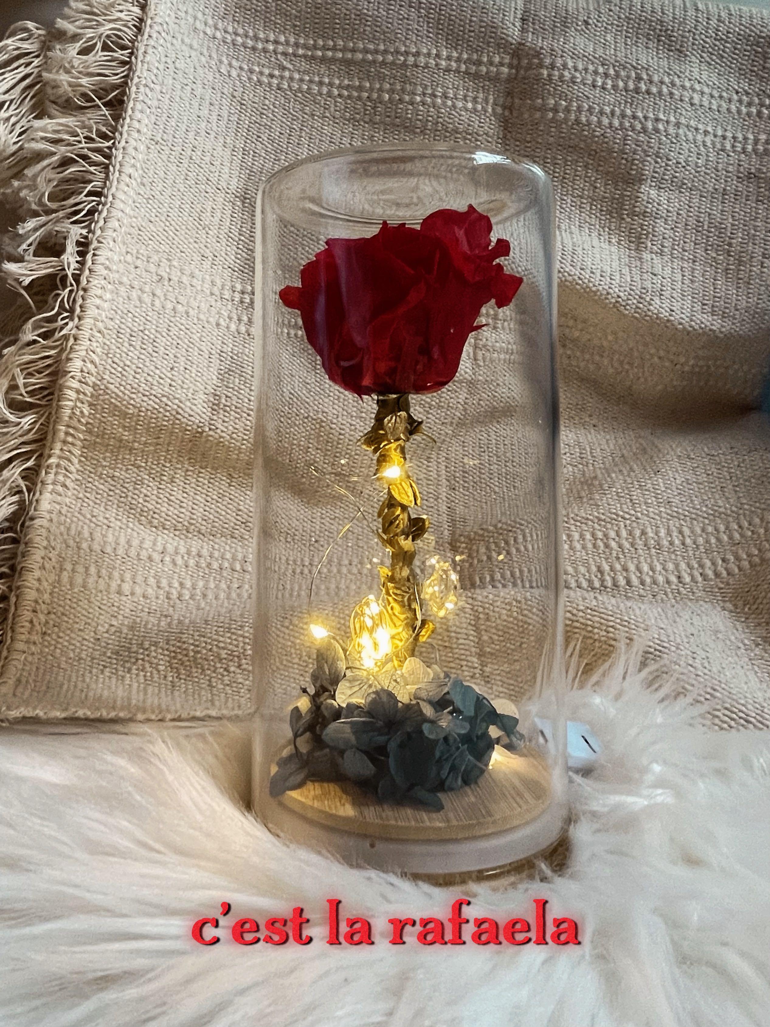 beauty-and-the-beast-jar-hobbies-toys-stationery-craft-flowers