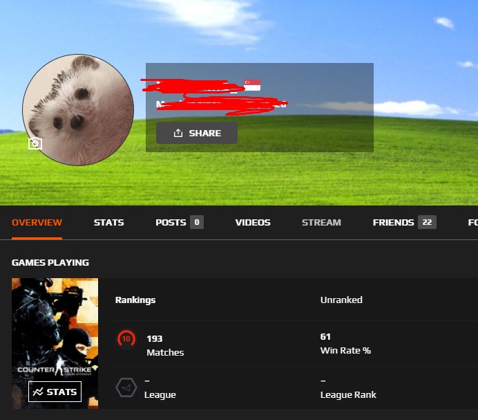 🗲 Faceit Level 6 Account, 1.75 K/D, 2,145 Hours, ID Verified, AUTO  Delivery