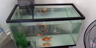 (Category: ) located in . Submitted by mel.sea (Listing ID 1133886018, Image 1). Description: .