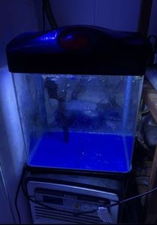 (Category: ) located in . Submitted by yooom8 (Listing ID 1133925576, Image 1). Description: .