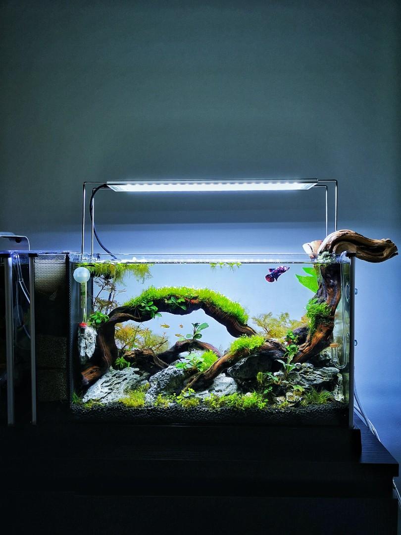 Odyssea sales aquarium light