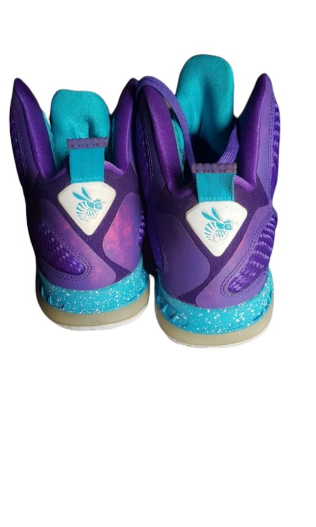 lebron hornets