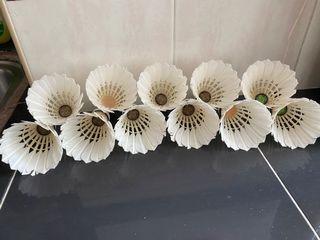 protech pt 10 shuttlecock