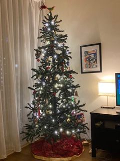 (Category: ) located in . Submitted by ltallen (Listing ID 1133814869, Image 1). Description: .