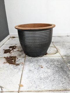 (Category: ) located in . Submitted by markdjaffe (Listing ID 1134053836, Image 1). Description: .