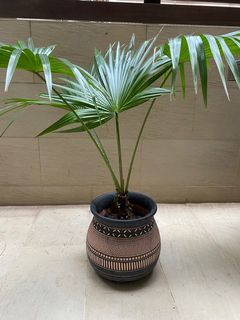 （分類：）位於 。 由 fredhk44 提交（商品編號 1134076376，圖片 1）。簡介： 。