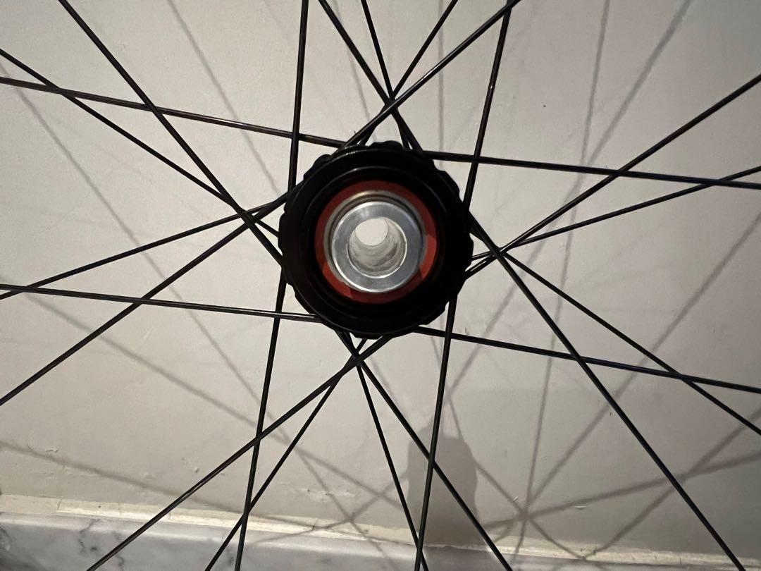 fulcrum bianchi