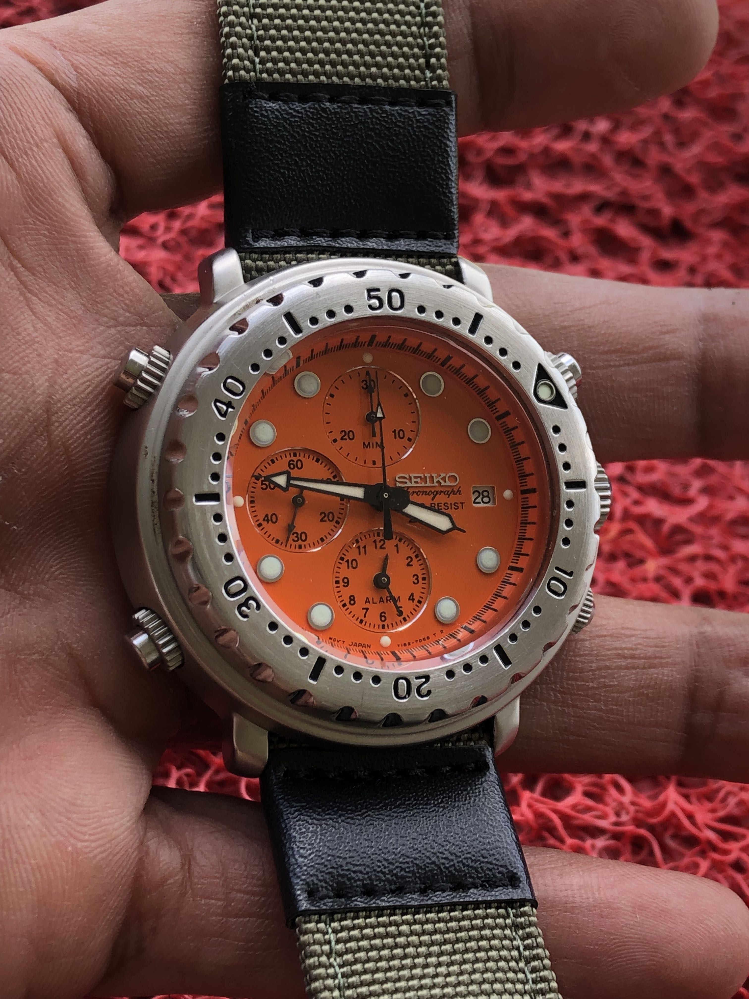 Italian best sale tuna seiko