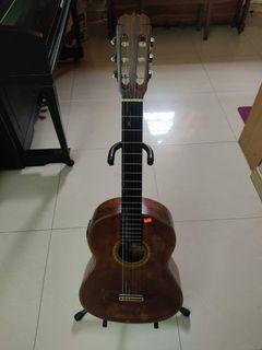 Suzuki Guitar