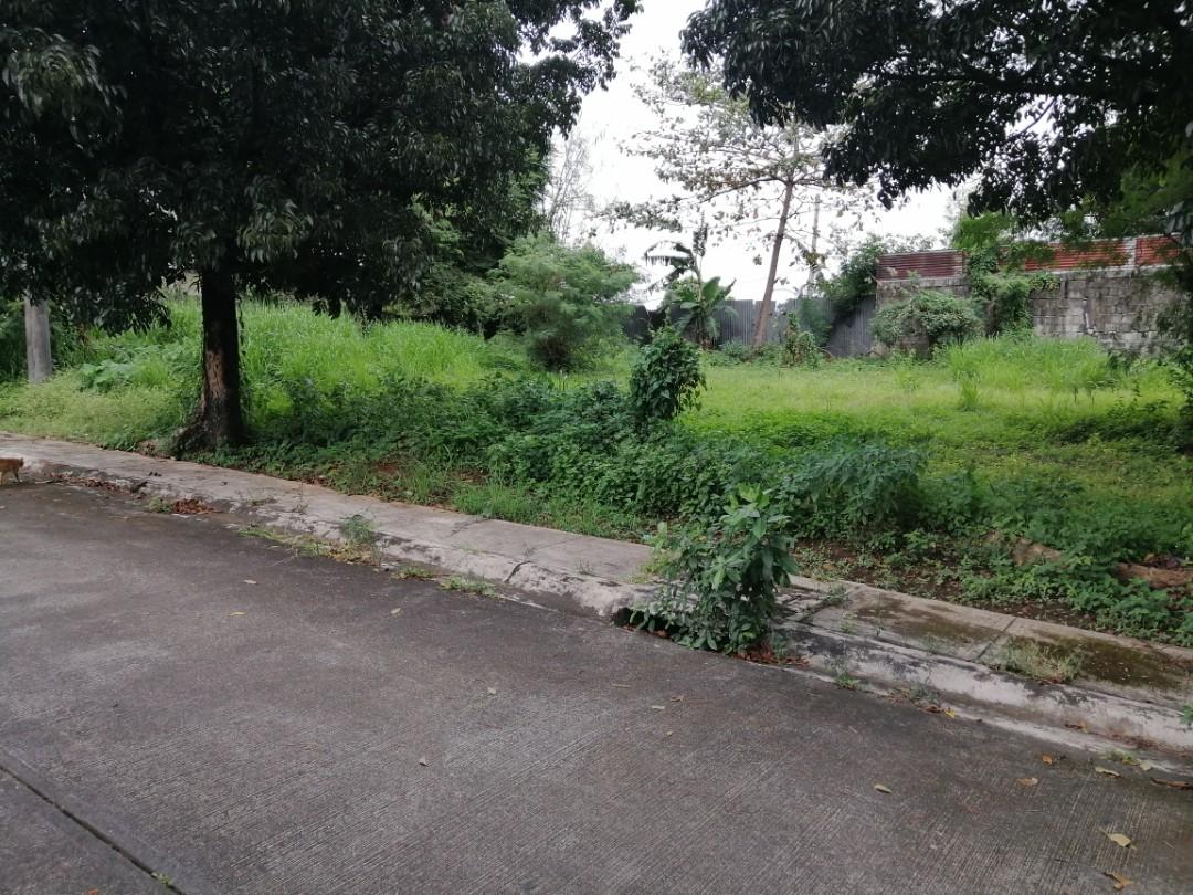 Villa Vienna Subdivision NEOPOLITAN 1B Greater Lagro Quezon City / 300