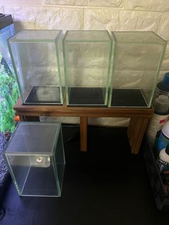 (Category: ) located in . Submitted by kurimau (Listing ID 1134300504, Image 1). Description: .