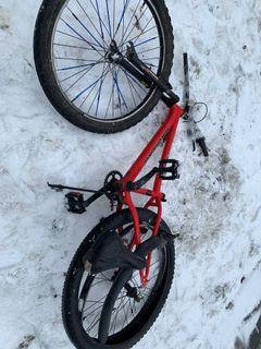 Bike need Assembly