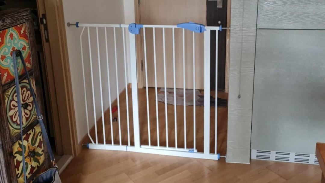 dog child gate