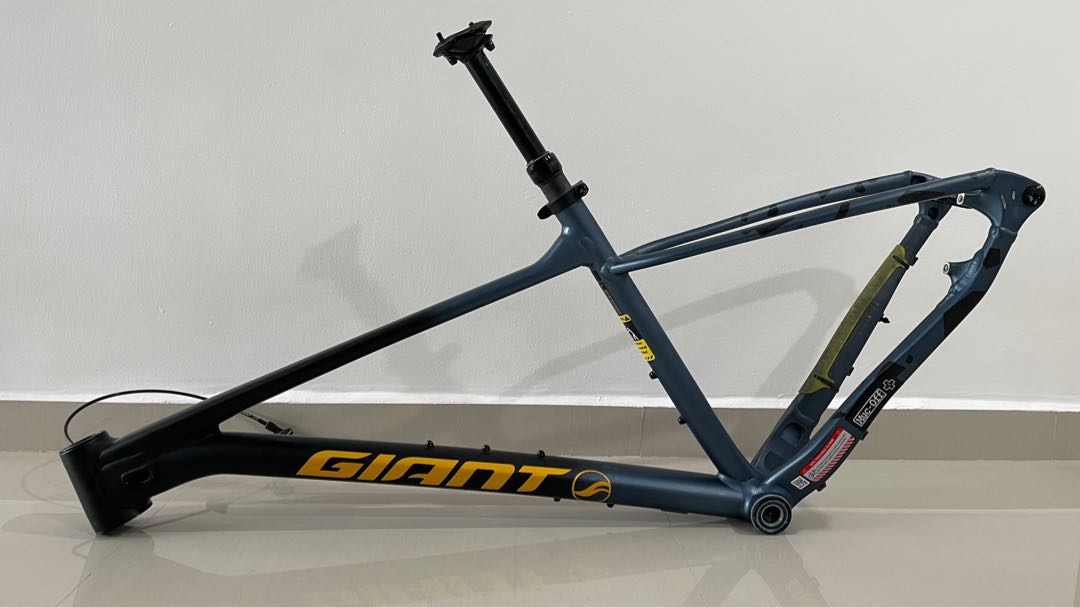 Giant frame 29er 2025 price