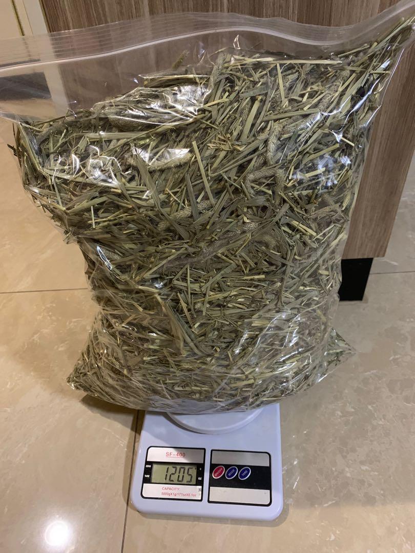 Oxbow 2nd Cut Timothy Hay Repacked, Pet Supplies, Homes & Other Pet