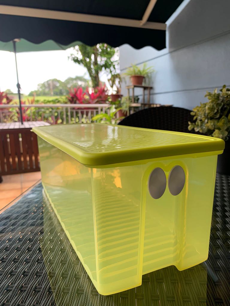 Tupperware Fridge Smart Large, Furniture & Home Living, Kitchenware