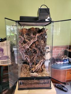 (Category: ) located in . Submitted by shernoprob (Listing ID 1134206926, Image 1). Description: .