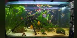(Category: ) located in . Submitted by isaacang88 (Listing ID 1129362272, Image 1). Description: .