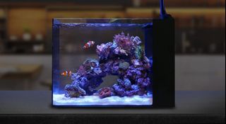 (Category: ) located in . Submitted by aquamaniacs (Listing ID 1129385327, Image 1). Description: .
