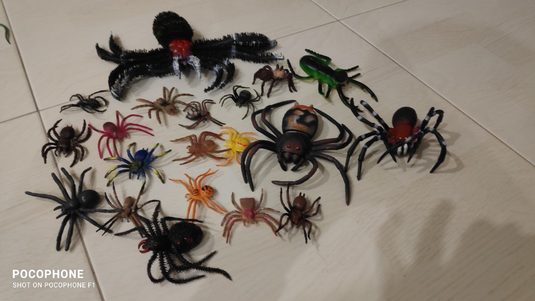 Plastic toy spiders deals