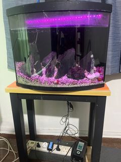 (Category: ) located in . Submitted by aduilah (Listing ID 1129399163, Image 1). Description: .