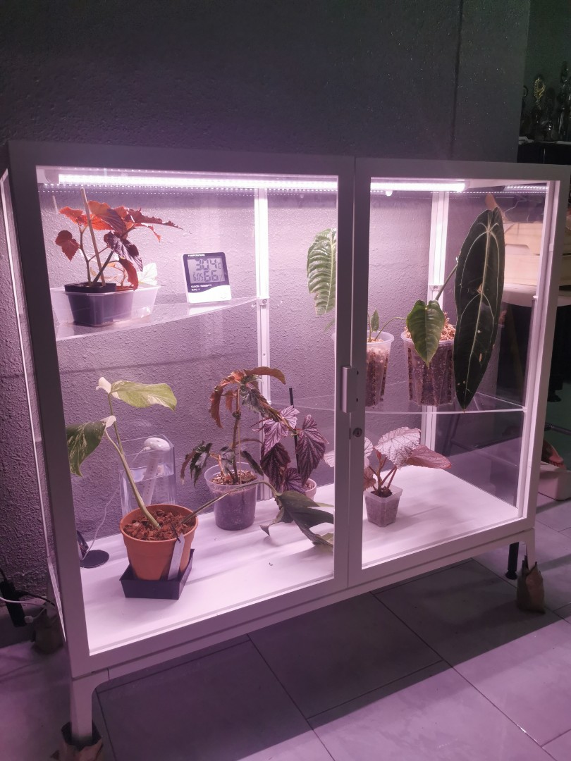 IKEA Milsbo Greenhouse Furniture & Home Living, Gardening