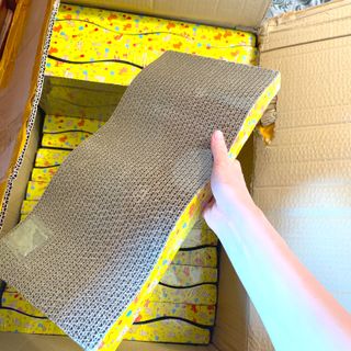 (Category: ) located in . Submitted by shuyi16 (Listing ID 1129361753, Image 1). Description: .
