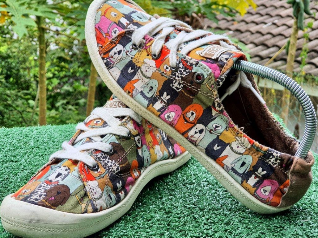 Skechers beach on sale bingo dog