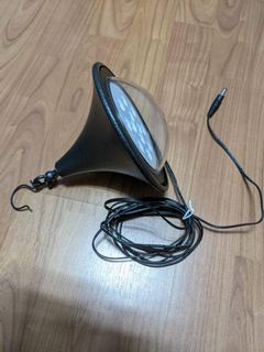 (Category: ) located in . Submitted by carerot (Listing ID 1134372937, Image 1). Description: .