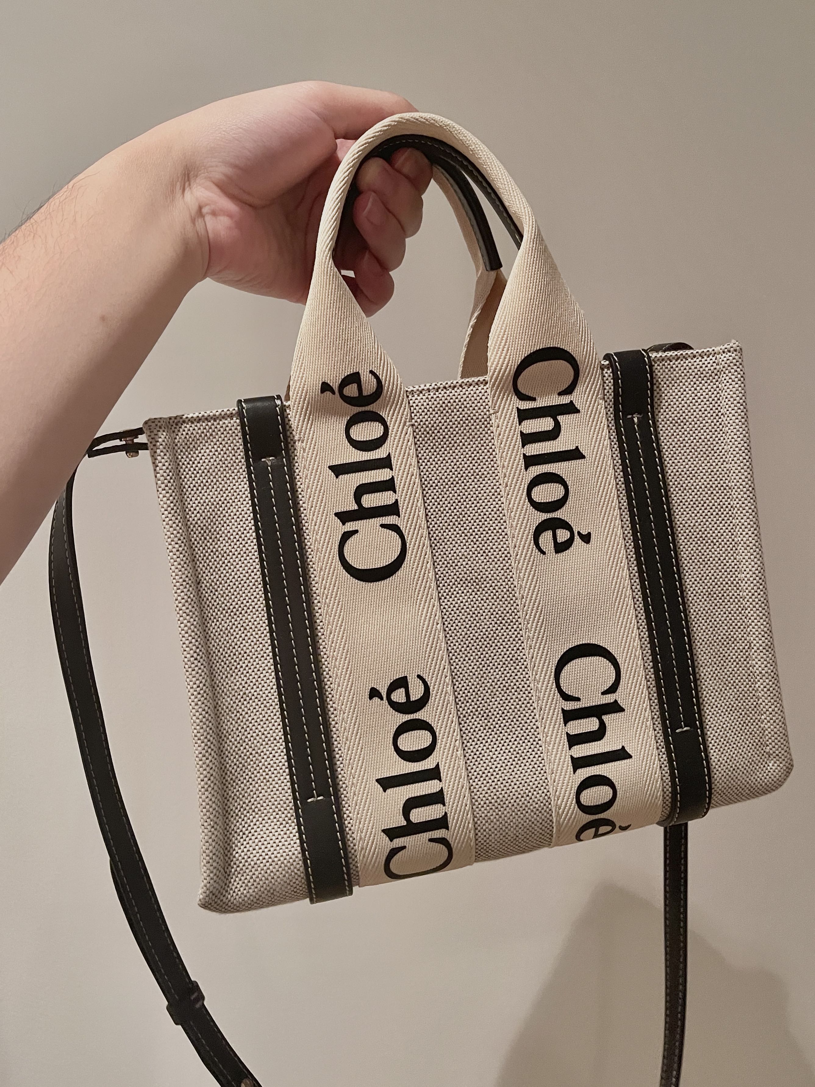 Chloe bag singapore price store