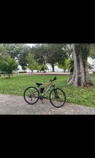 (Category: ) located in . Submitted by nat1698 (Listing ID 1134383867, Image 1). Description: .