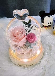(Category: ) located in . Submitted by theflowerdome (Listing ID 1134443341, Image 1). Description: .