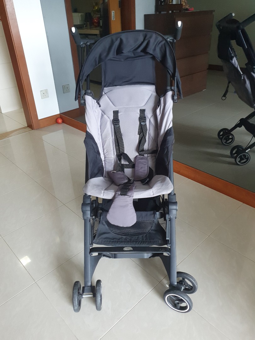 GB pockit plus silver fox