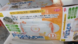 (Category: ) located in . Submitted by vnjinting (Listing ID 1134379722, Image 1). Description: .