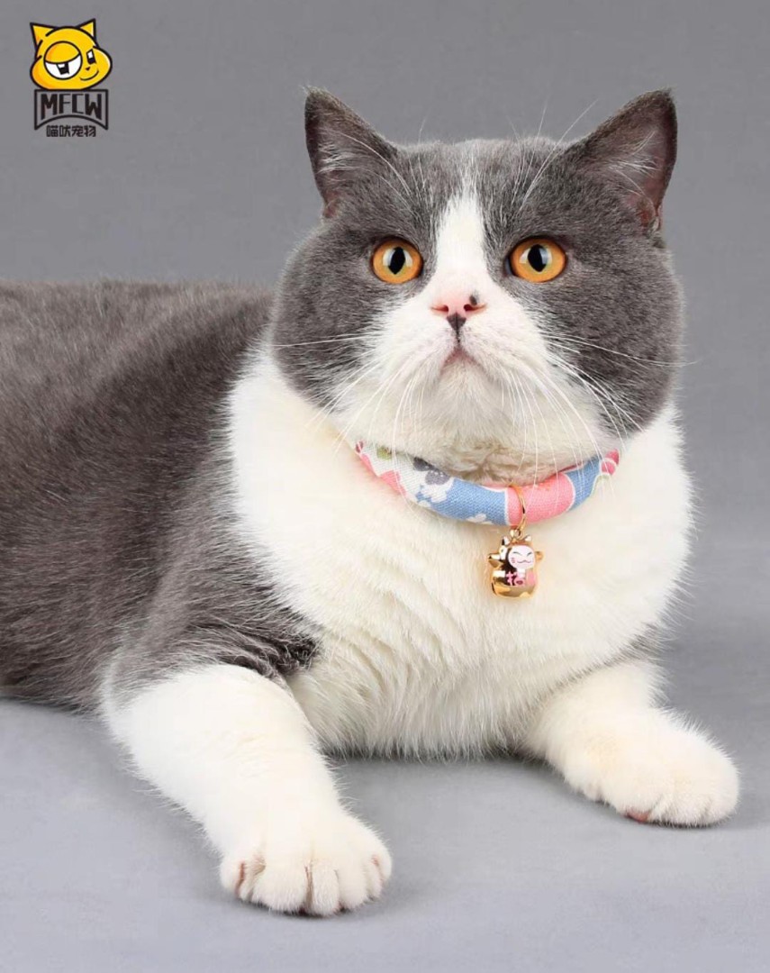 Japanese Style Cat Collar bell Pet Supplies Homes Other Pet