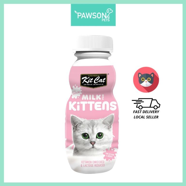 Kit Cat Milk for Kittens Milk for Cats for Adults Senior