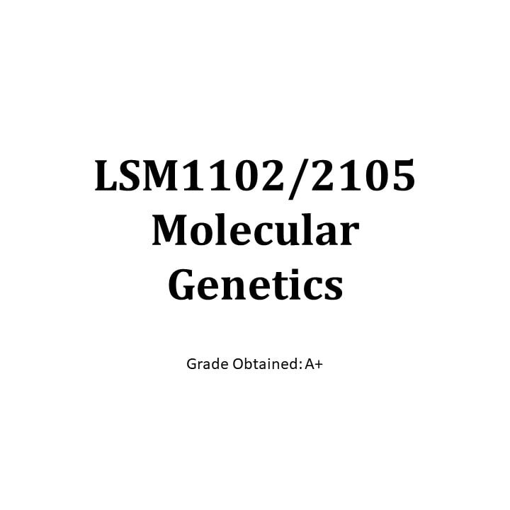 lsm.jpg4.us |lsm11-02 