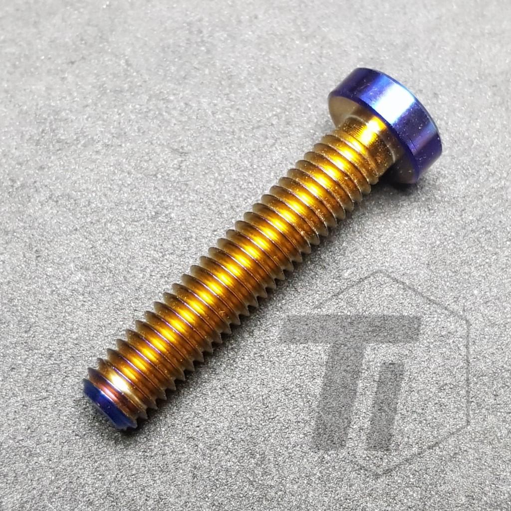 seatpost clamp bolt