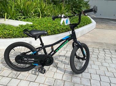Trek Bike for Kids 14