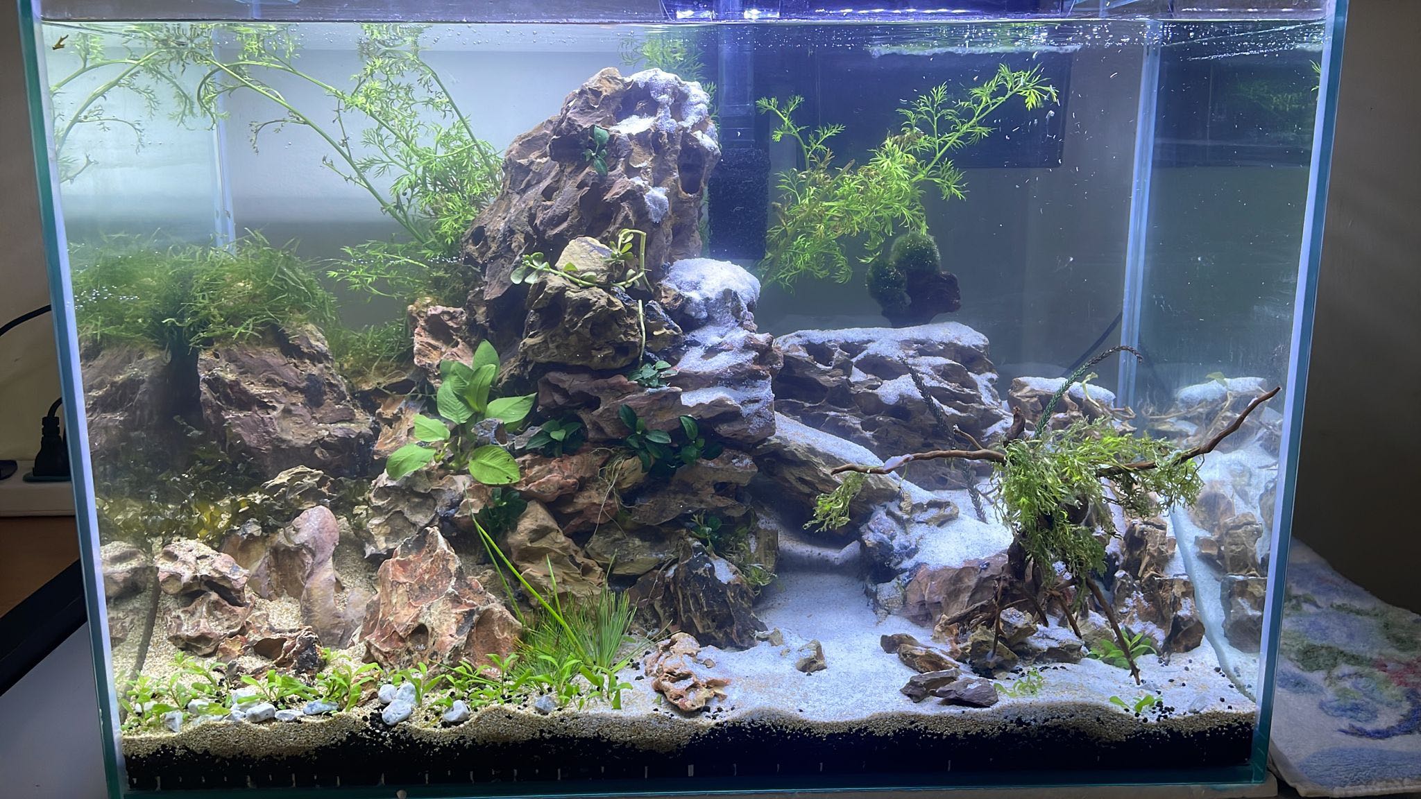 Custom aquarium decorations sales