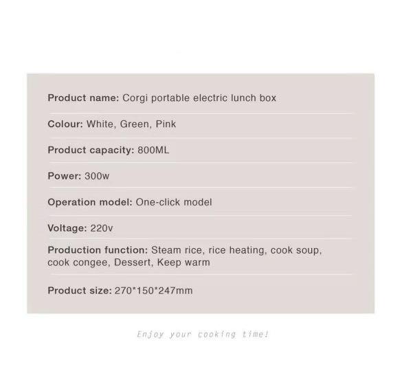 Kiwi Electric Lunch Box, TV & Home Appliances, Kitchen Appliances