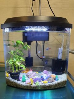 (Category: ) located in . Submitted by genreve (Listing ID 1134555503, Image 1). Description: .