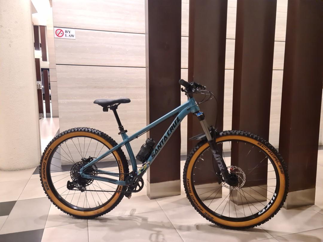Chameleon santa cruz for sale outlet