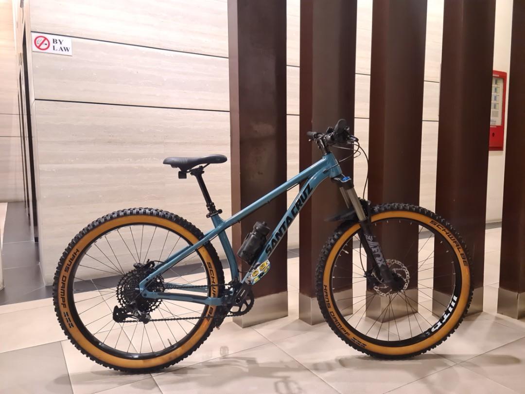 Santa cruz store chameleon for sale