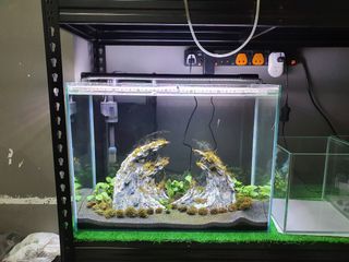 (Category: ) located in . Submitted by alexhcp (Listing ID 1134545324, Image 1). Description: .