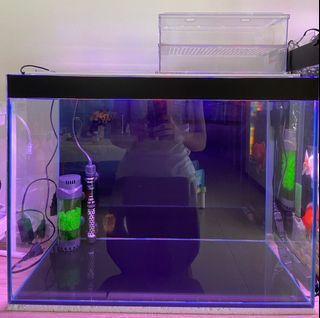 (Category: ) located in . Submitted by jonpha (Listing ID 1129498253, Image 1). Description: .