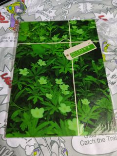 （分類：）位於 。 由 milk0602 提交（商品編號 1129601229，圖片 1）。簡介： 。