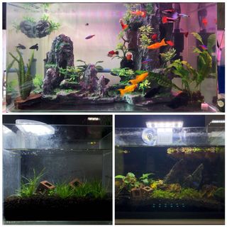 (Category: ) located in . Submitted by 1click.sg (Listing ID 1129505303, Image 1). Description: .