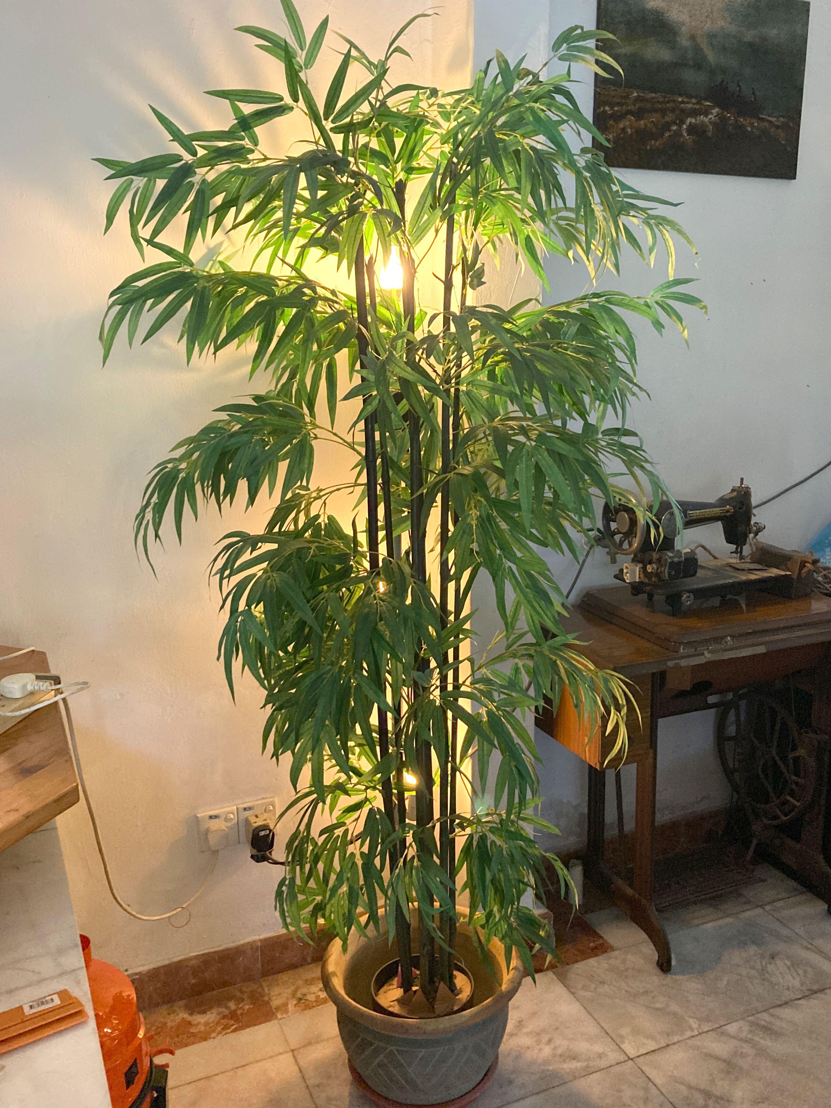 Fake Bamboo Plant 2 set MustGo , Furniture & Home Living, Home Decor